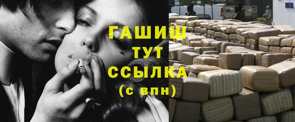 гидра Богородицк