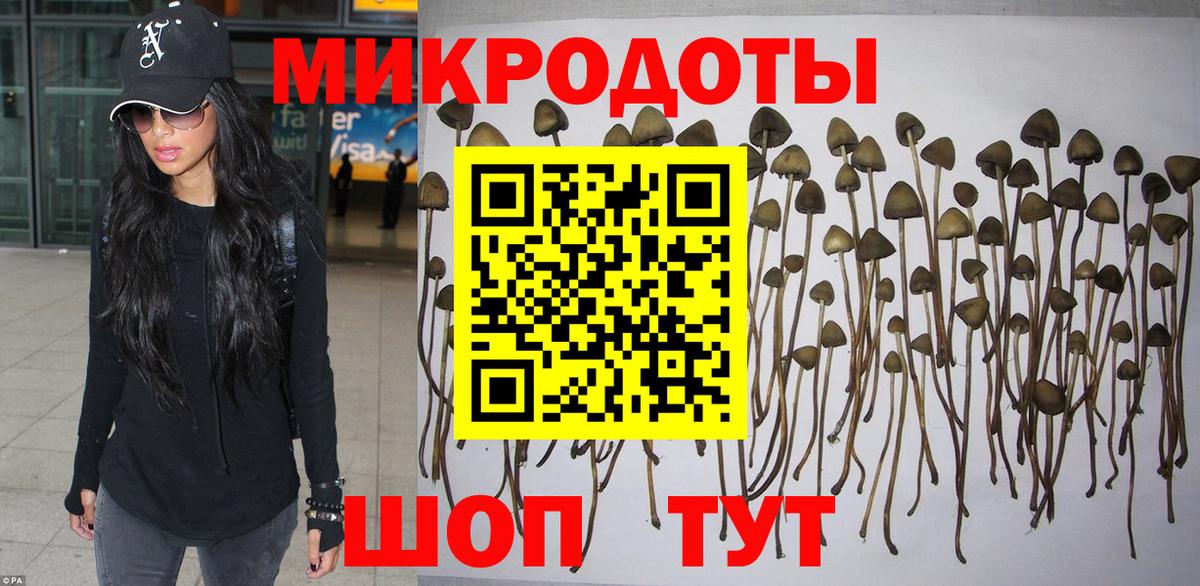 Галлюциногенные грибы Psilocybe  Куйбышев  Псилоцибиновые грибы MAGIC MUSHROOMS 