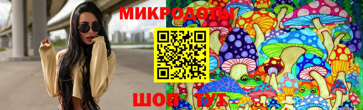 Куйбышев  Галлюциногенные грибы Psilocybe  Вход с VPN 