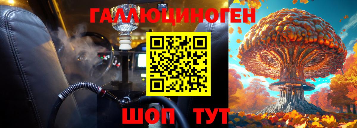 Галлюциногенные грибы Psilocybe Куйбышев