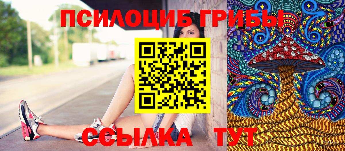 Псилоцибиновые грибы Psilocybe Куйбышев
